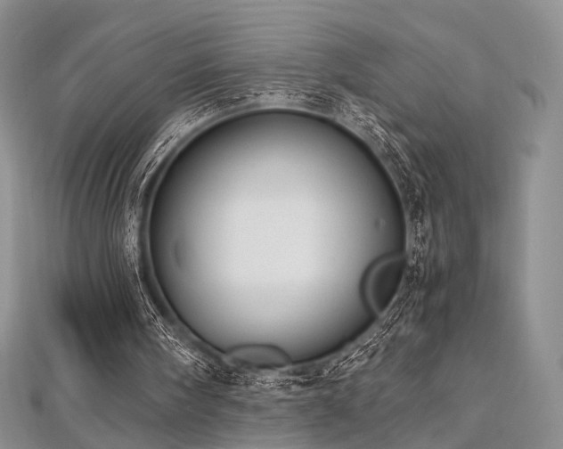 X0000112900098200908211525