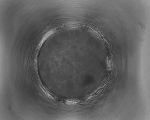 X0000112900099200908211525