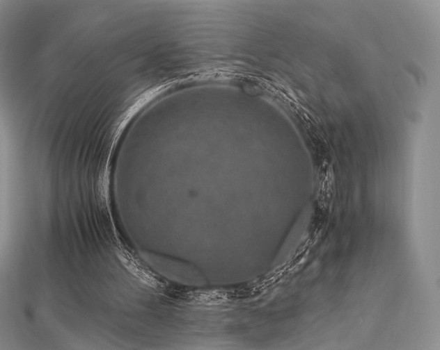 X0000112900100200908211525