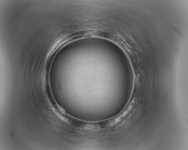 X0000112900101200908211525