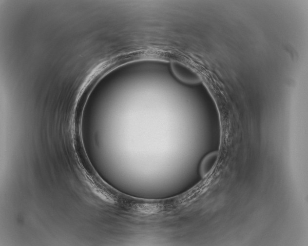 X0000112900102200908211525