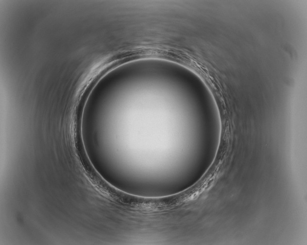 X0000112900103200908211525