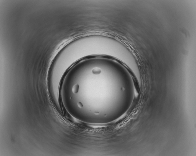 X0000112900104200908211525