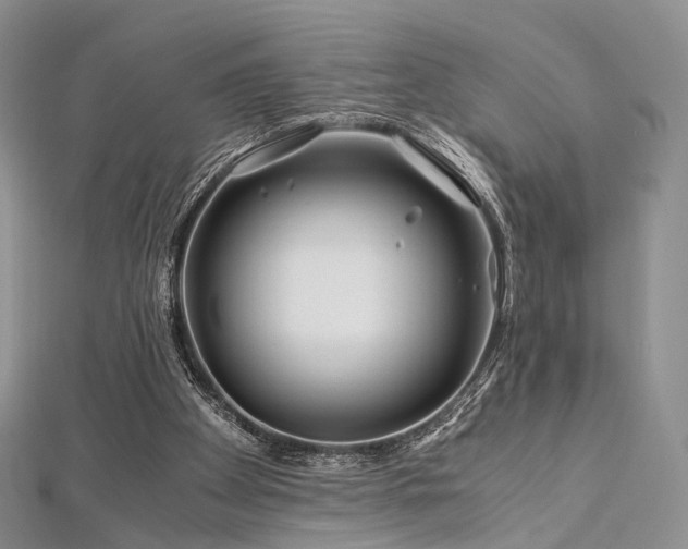 X0000112900105200908211525