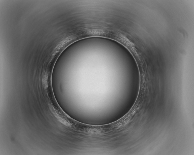 X0000112900106200908211525