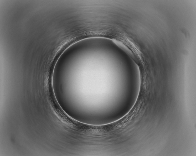 X0000112900107200908211525