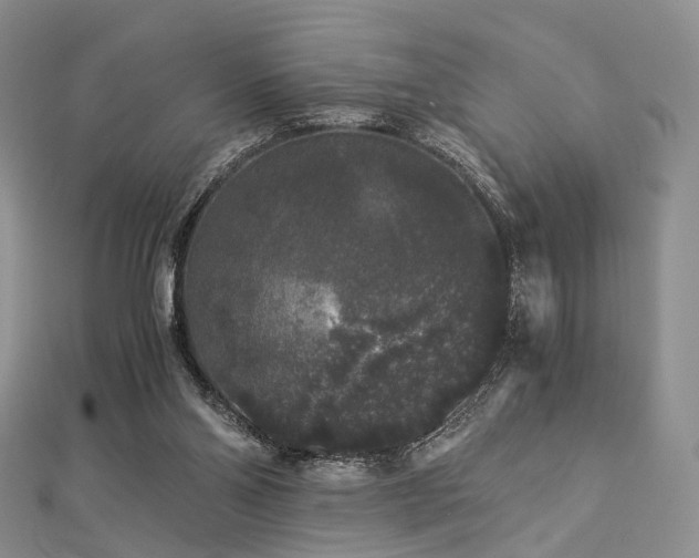 X0000112900110200908211525