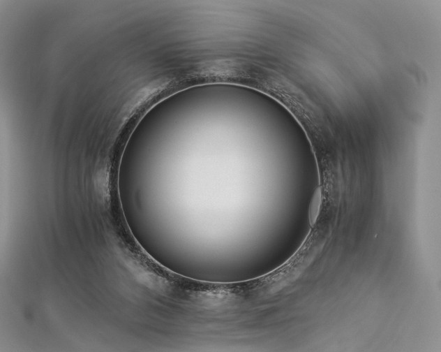 X0000112900112200908211525