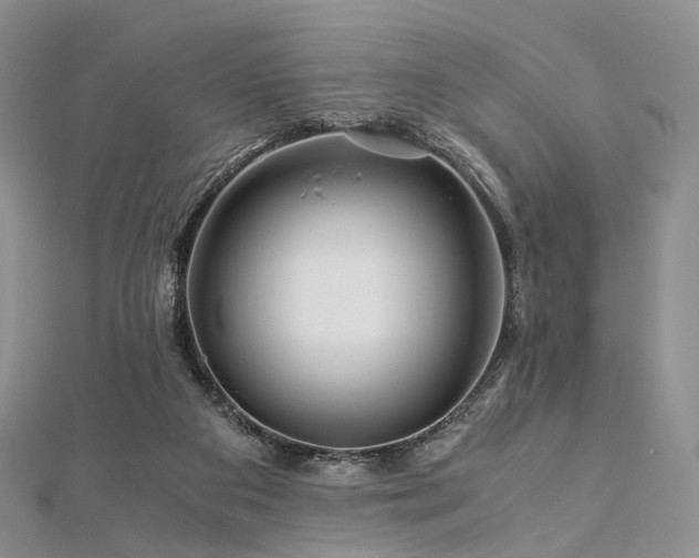 X0000112900113200908211525