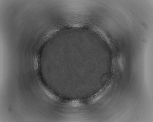 X0000112900114200908211525