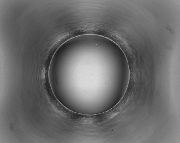 X0000112900115200908211525