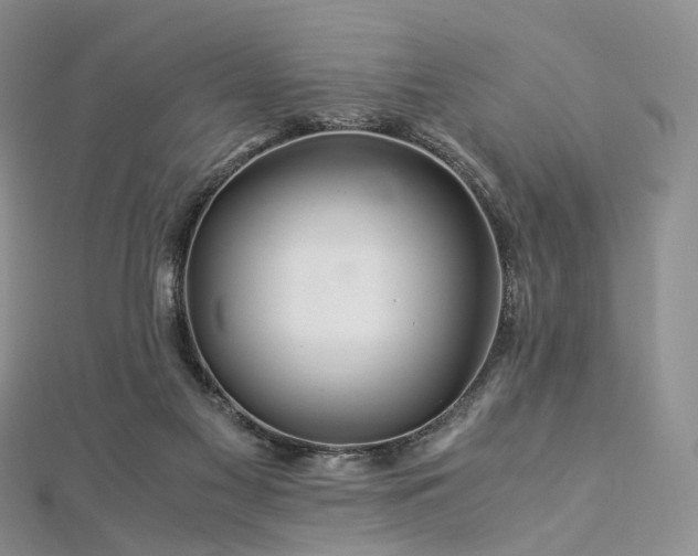 X0000112900117200908211525