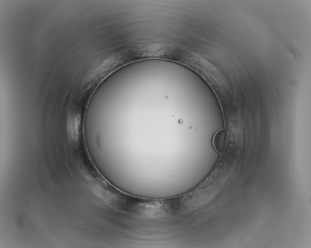 X0000112900118200908211525