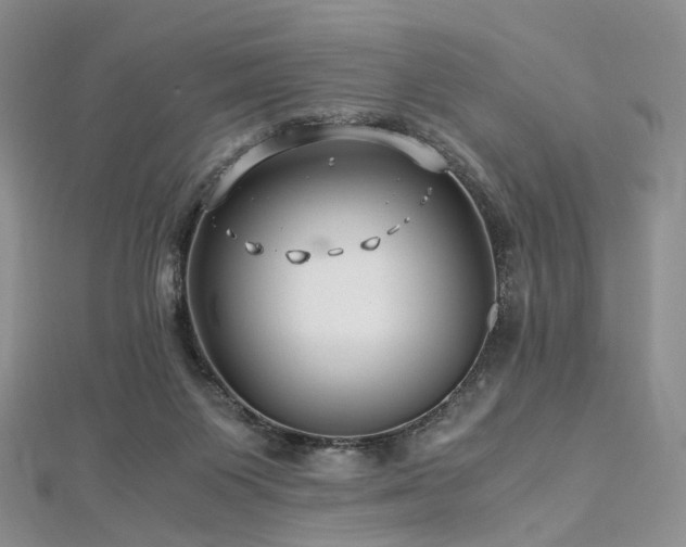 X0000112900119200908211525