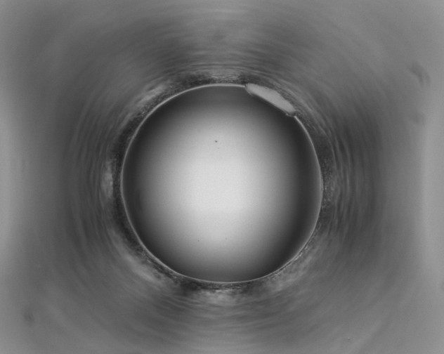 X0000112900120200908211525