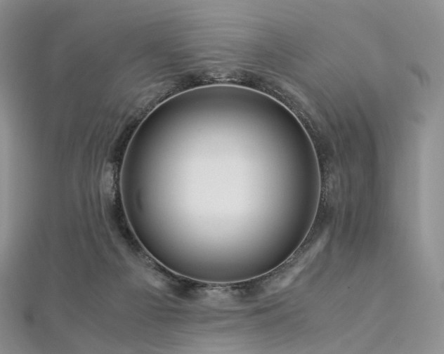 X0000112900121200908211525