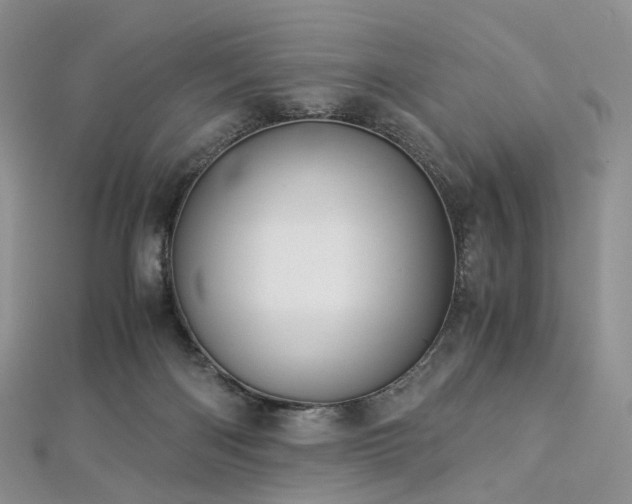 X0000112900122200908211525