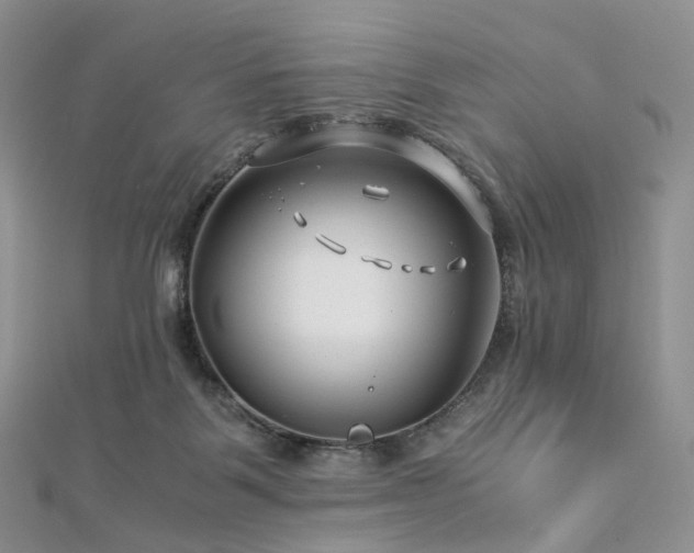 X0000112900123200908211525