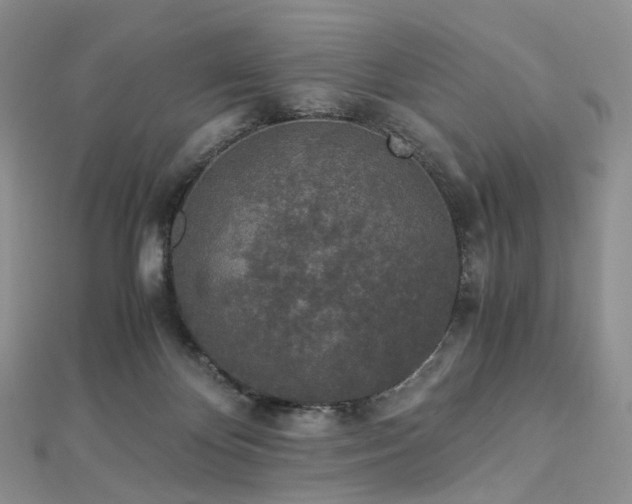 X0000112900124200908211525