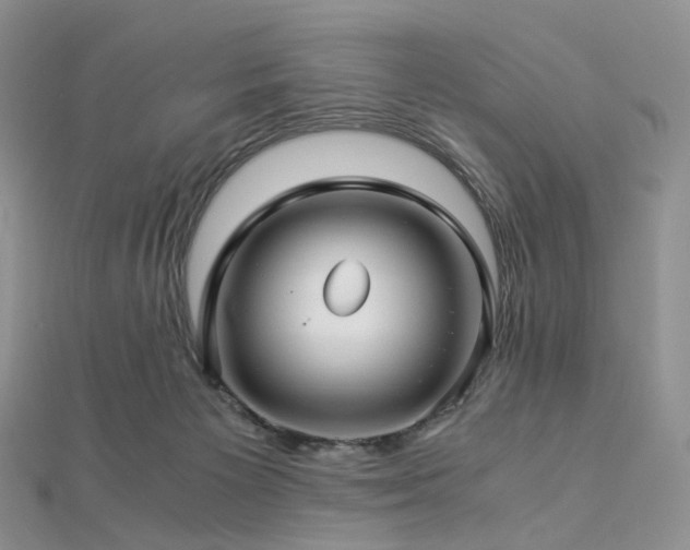 X0000112900125200908211525