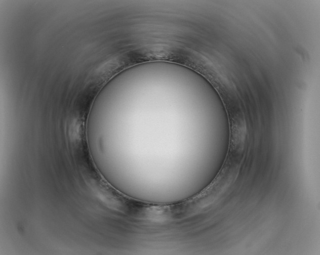 X0000112900126200908211525