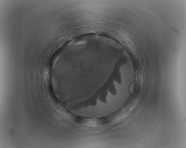 X0000112900127200908211525