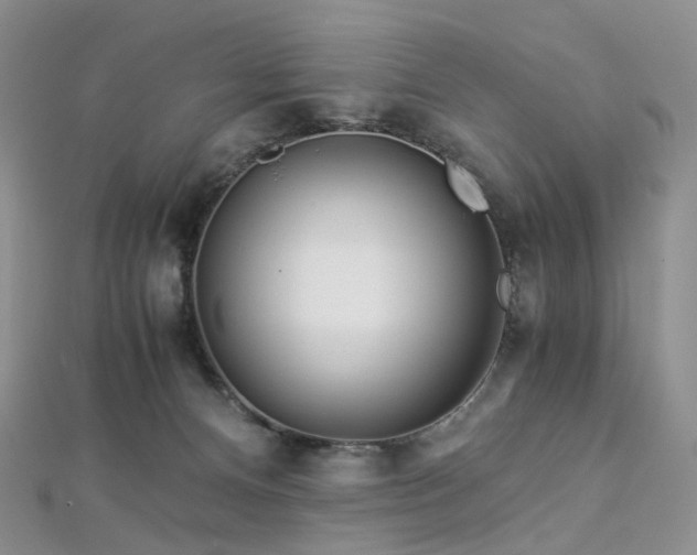 X0000112900128200908211525