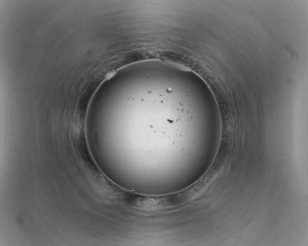 X0000112900129200908211525