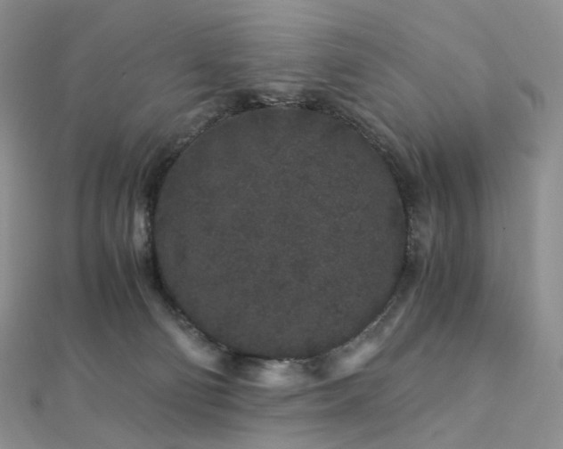 X0000112900130200908211525