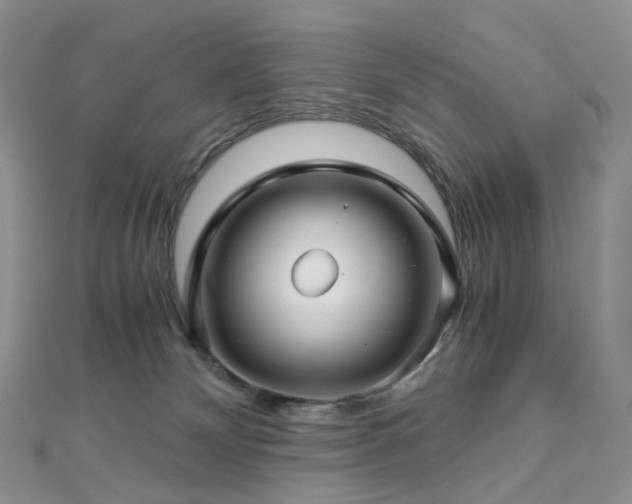 X0000112900132200908211525