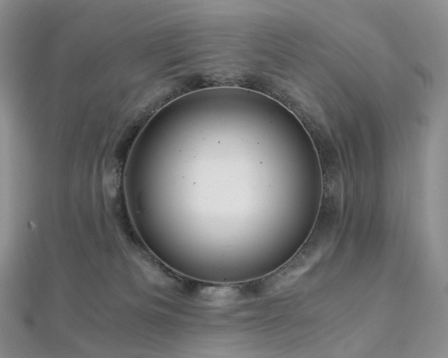 X0000112900133200908211525