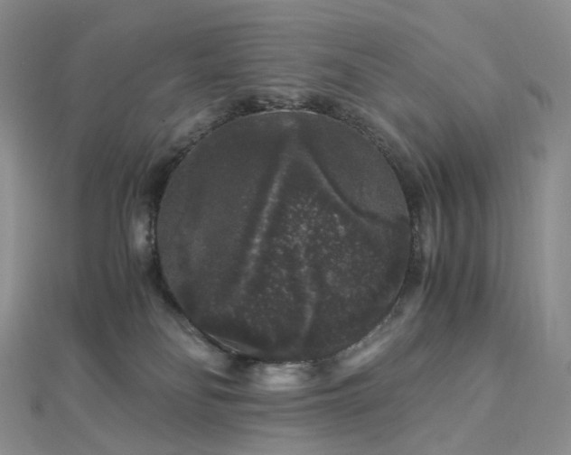 X0000112900134200908211525