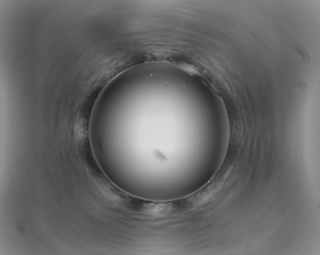 X0000112900135200908211525