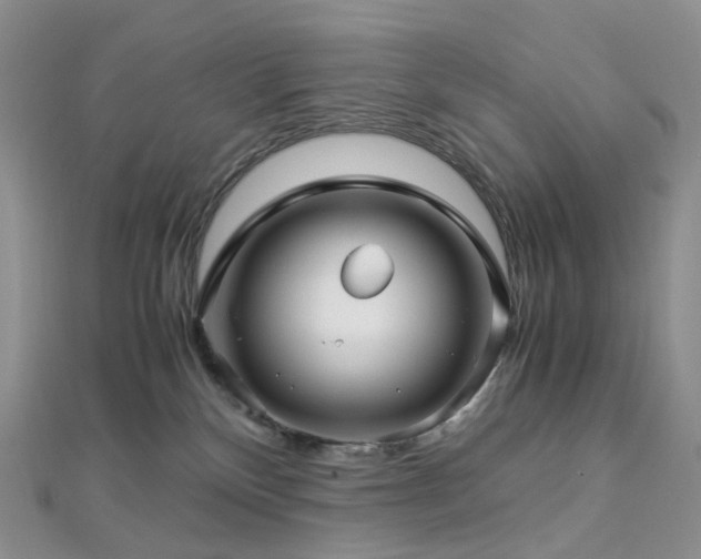 X0000112900136200908211525