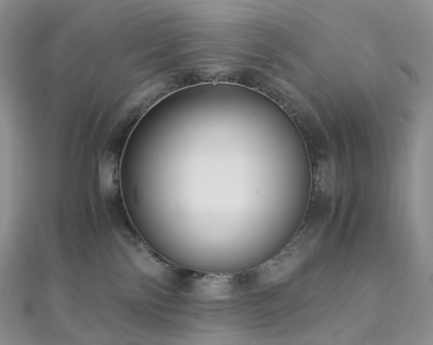 X0000112900138200908211525