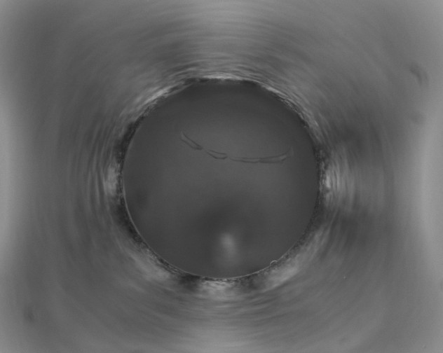 X0000112900139200908211525