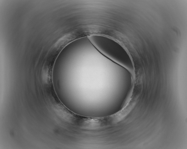 X0000112900140200908211525