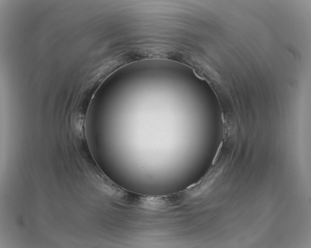 X0000112900141200908211525