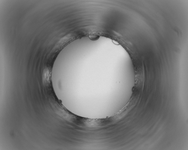 X0000112900142200908211525