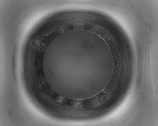 X0000112900143200908211525