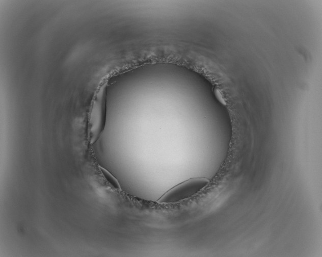 X0000112900144200908211525