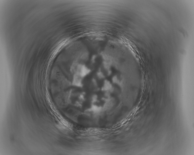 X0000112900145200908211524