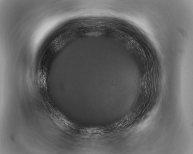 X0000112900146200908211524