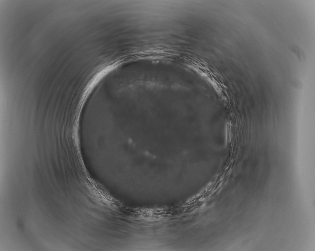 X0000112900147200908211524