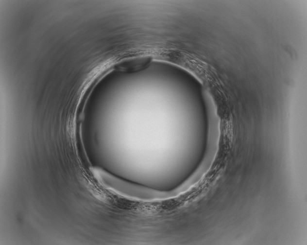 X0000112900148200908211524