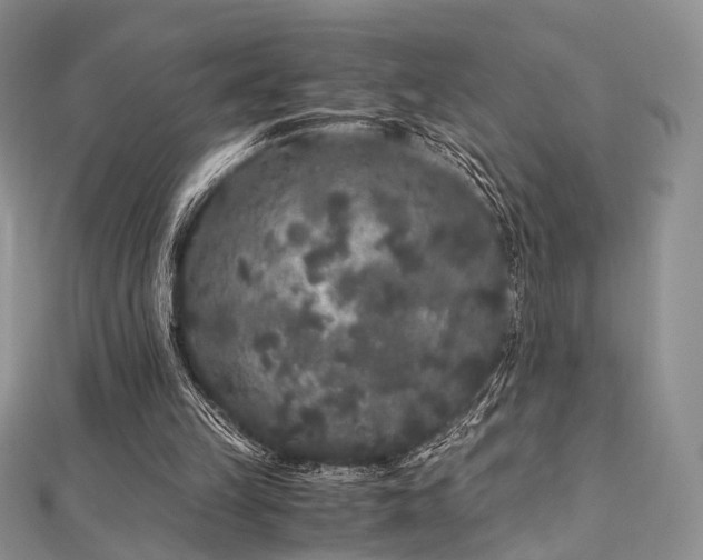 X0000112900149200908211524