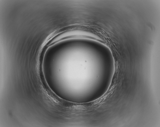 X0000112900150200908211524