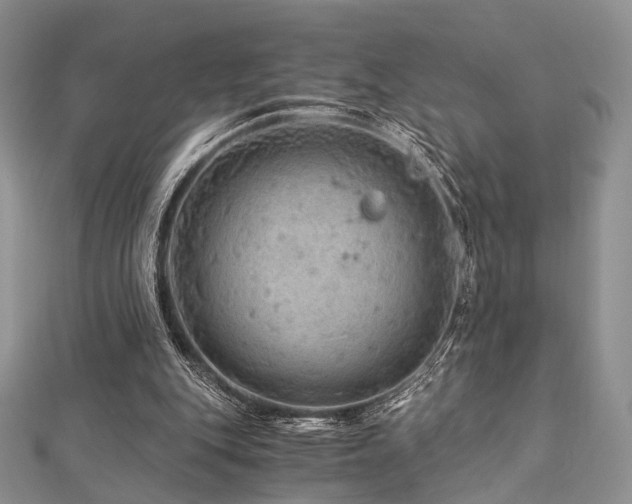 X0000112900151200908211524