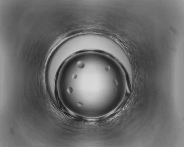 X0000112900152200908211524