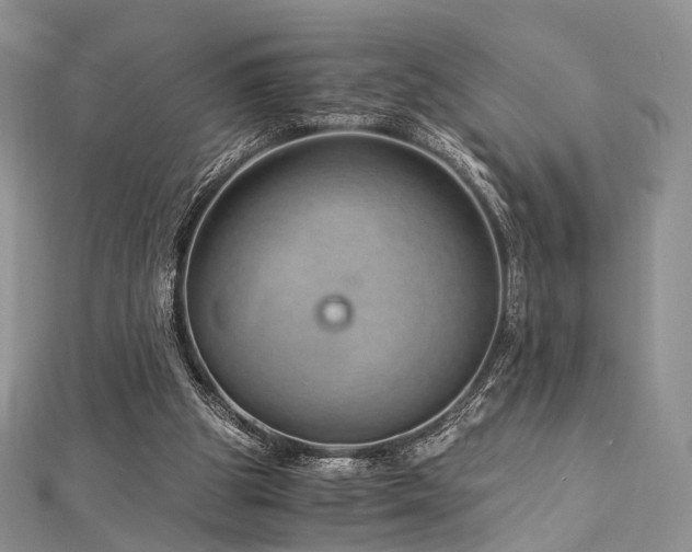 X0000112900153200908211524